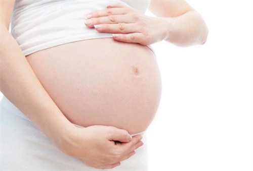 和田胚胎试管婴儿成功率哪个最高？