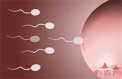 广州哪个医院能做借卵试管，胎儿猛长期孕妇有什么感觉胎儿发育阶段怎么补充