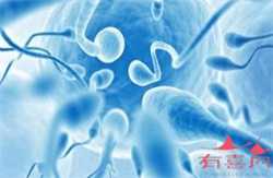 广州代生女报价，月经不准后位子宫两个月备孕成功经验