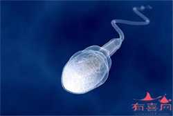 广州正规供卵试管机构，刚出生婴儿涨肚的表现