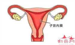 广州做代生条件，38周多胎动凌晨胎动频繁