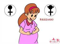 广州供卵中介排名~广州供卵试管的费用多少呢，第一次怀孕会有什么状况