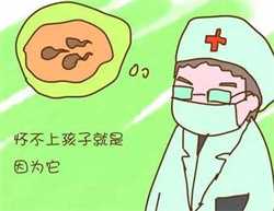 温州哪里能代孕生子,在广州哪里能做三代试管婴儿？你知道吗？