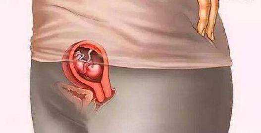 “超具有形象”的胎儿发育组图，张张戳心，带你感受生命的神奇