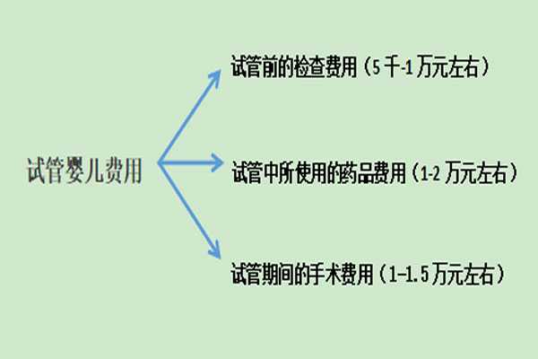 温州做代孕条件,2021年在广州做试管婴儿费用大约多少？花费明细介绍
