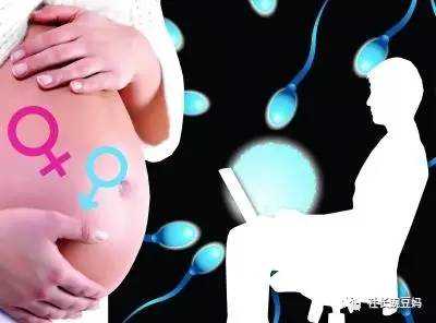 问答丨孕妇怀有男宝或女宝都有哪些不同症状？