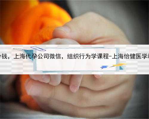代孕包双胞胎多少钱，上海代孕公司微信，组织行为学课程-上海怡健医学科技
