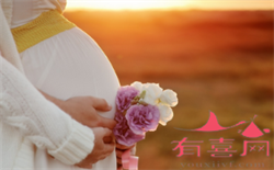 重庆借腹生子市场价多少，2019年重庆新生儿医保报销多少