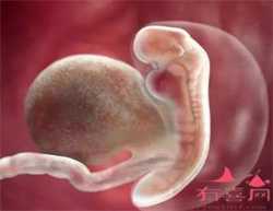 广州有代孕生子吗，广州第三代试管婴儿流程