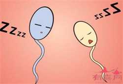广州高龄试管借卵子成功率，48岁去广州做试管婴儿的成功率有多少？
