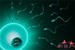 上海有供卵试管医院,2023上海正规靠谱的三甲供卵机构有哪些？