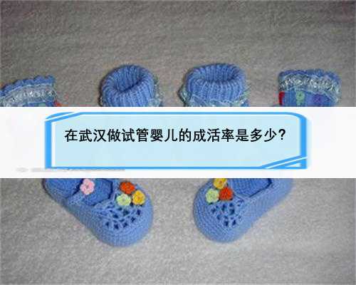 在武汉做试管婴儿的成活率是多少？