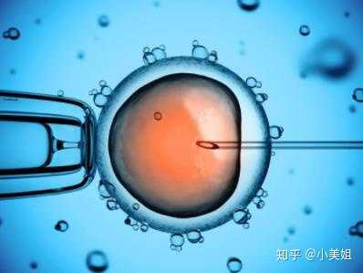 上海捐卵给多钱，上海捐卵试管价格是多少？